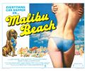 Everything Can Happen On Malibu Beach